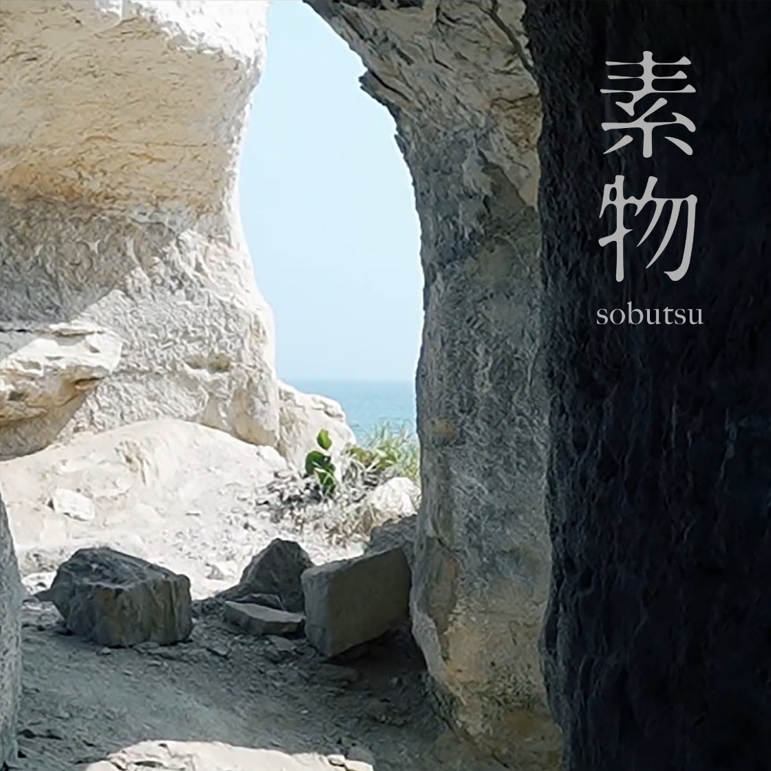 素物